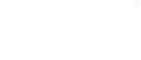 NYC Wingwoman